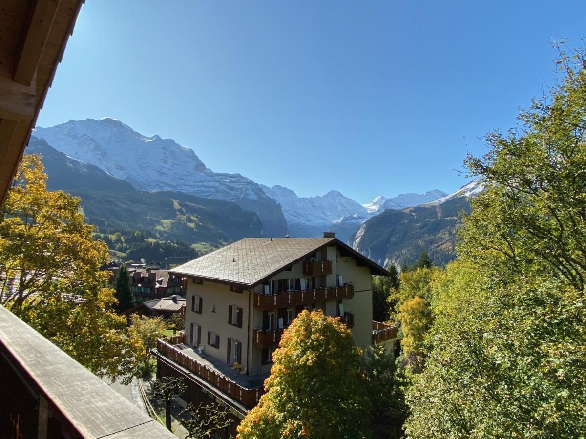 Chalet Bergfrieden Penthouse 翁根 外观 照片